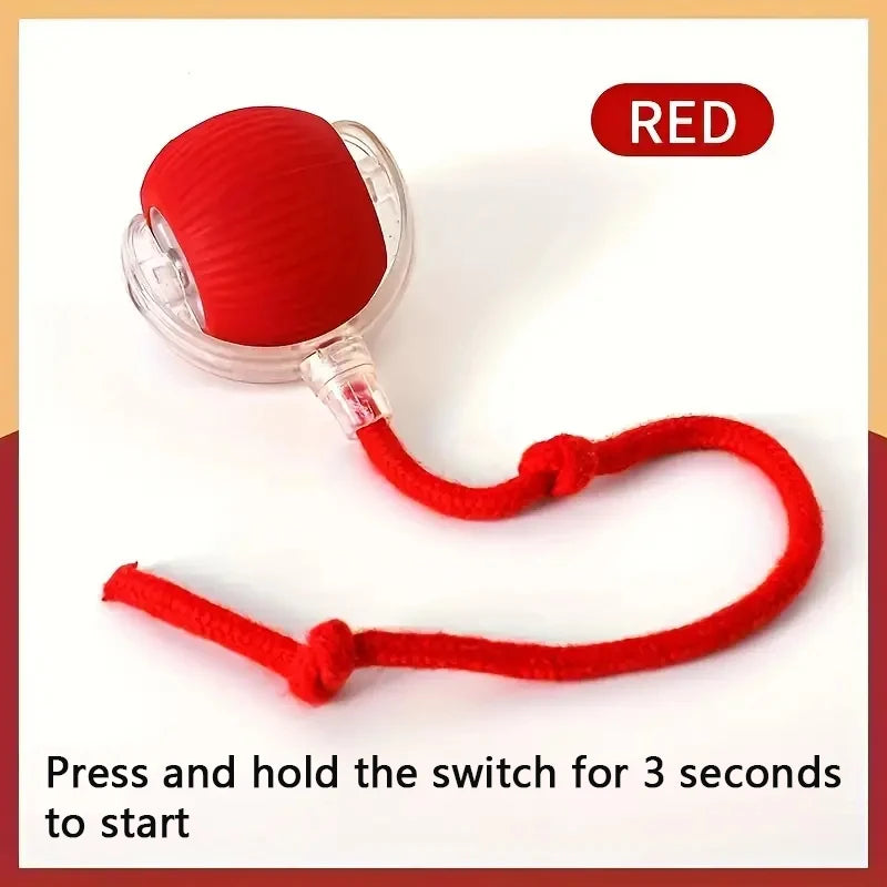 ๐พ Automatic Rolling Interactive Pet Toy Ball โ Rechargeable Cat & Dog Training Teaser