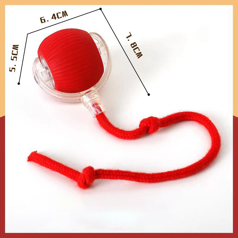 ๐พ Automatic Rolling Interactive Pet Toy Ball โ Rechargeable Cat & Dog Training Teaser