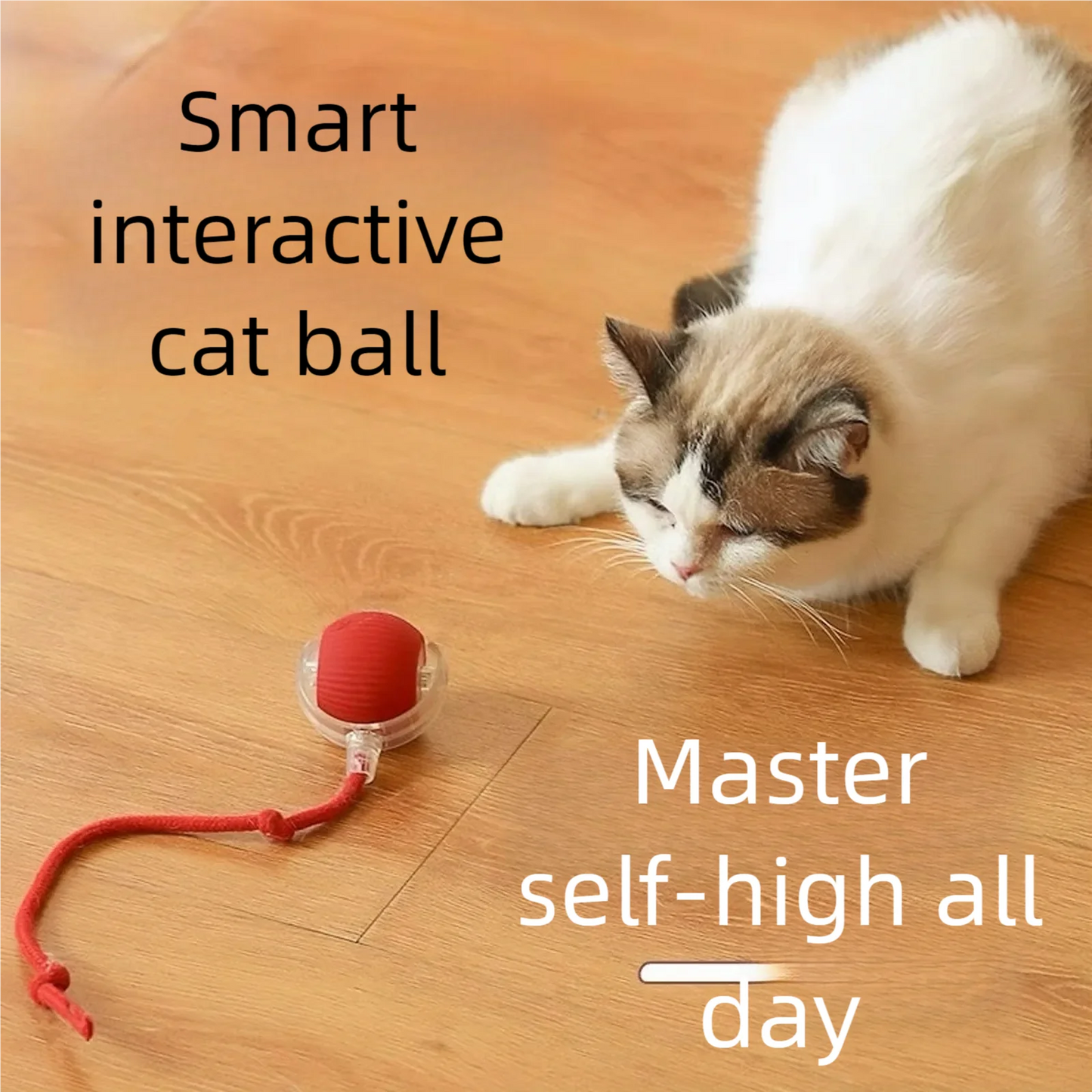 ๐พ Automatic Rolling Interactive Pet Toy Ball โ Rechargeable Cat & Dog Training Teaser