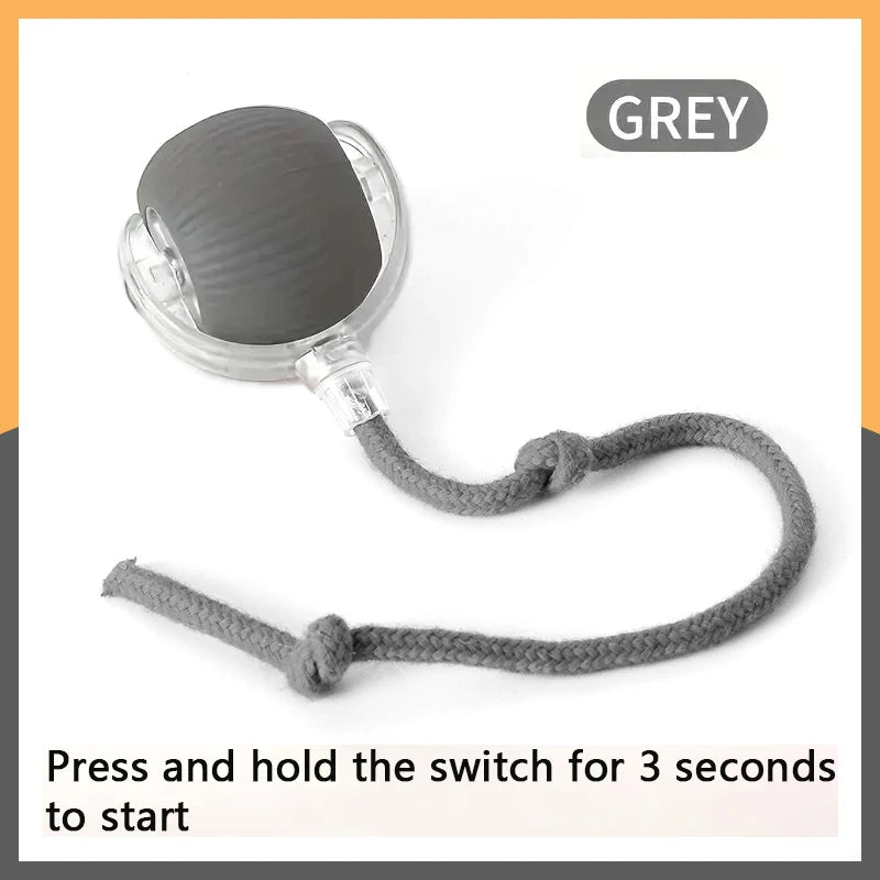 ๐พ Automatic Rolling Interactive Pet Toy Ball โ Rechargeable Cat & Dog Training Teaser
