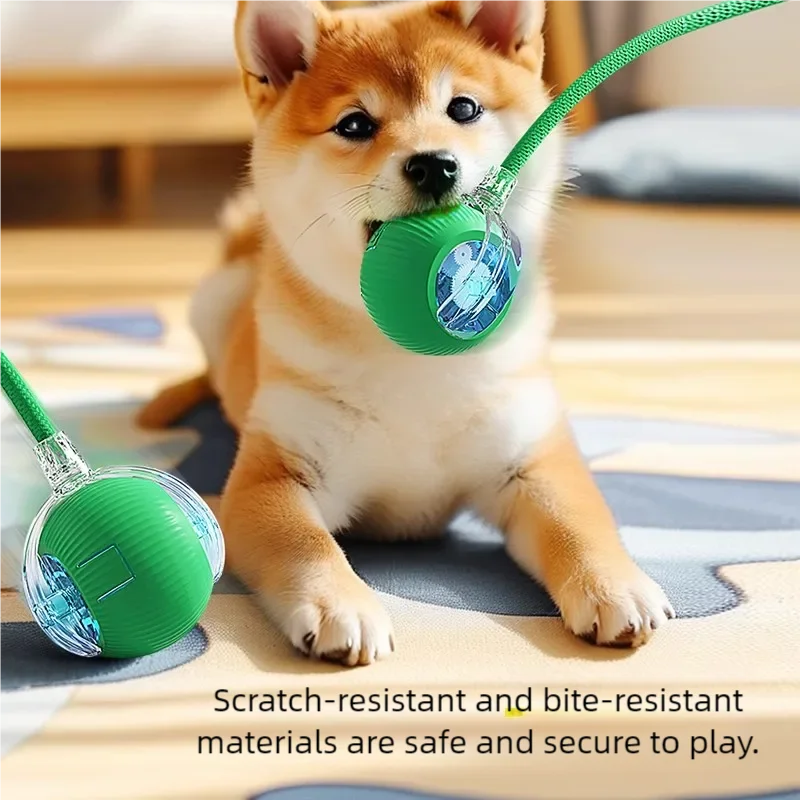 ๐พ Automatic Rolling Interactive Pet Toy Ball โ Rechargeable Cat & Dog Training Teaser