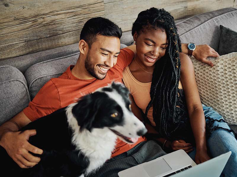 Pawfect Finds