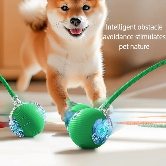 🐾 Automatic Rolling Interactive Pet Toy Ball – Rechargeable Cat & Dog Training Teaser