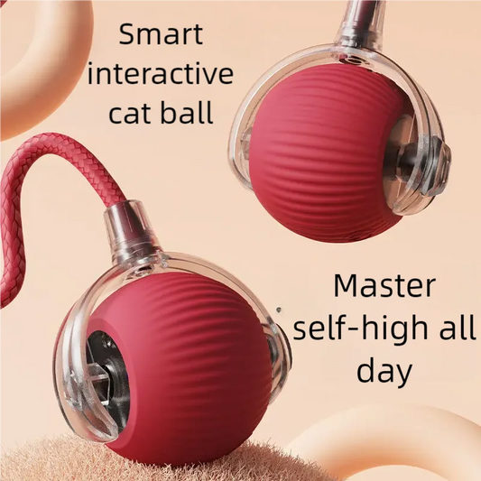 🐾 Automatic Rolling Interactive Pet Toy Ball – Rechargeable Cat & Dog Training Teaser